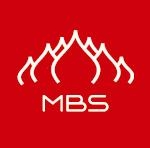 Новые дистанционные программы Moscow Business School